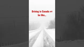 Winter driving in Canada 🇨🇦 Snow-covered roads and whiteout conditions #snow #winter #toronto