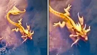 What This Diver Captured On Camera Nobody Can Explain, No One Was Supposed To See This