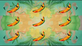 Banana (feat. Shaggy) [DJ FLe - Minisiren Remix] Lyric Video | Conkarah