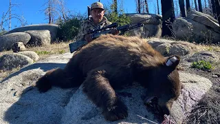 California Black Bear Hunt - D Zone