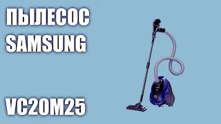 Пылесос Samsung VC20M25