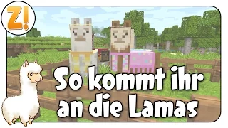 Minecraft LamaRama [v1.11]: Wie bekomme ich Minecraft 1.11? #Special | Let's Play Together [DEUTSCH]