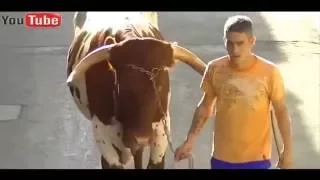 Most awesome bullfighting festival   Funny Videos  Stupid people doing stupid things P2