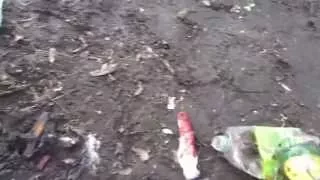 Euromaidan - Next day after mass murder of protesters in Kiev Ukraine