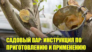 Готовим Садовый Вар Для Срезов Деревьев Своими Руками / Целебная Замазка Для Ран На Деревьях