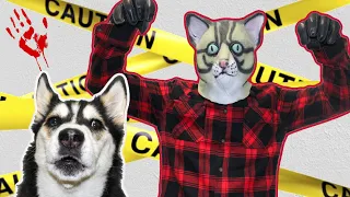 Scary Cat Mask Prank On My Husky!