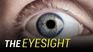 How Your Eyes Work