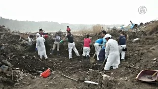 Пять лет после цунами: японцы продолжают поиск погибших (новости)