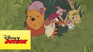 Mini aventuras de Winnie the Pooh - Cangu y Rito llegan al bosque