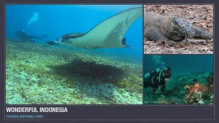 ZCUBA | Wonderful Indonesia | Komodo National Park