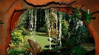 Wonderland tropical garden