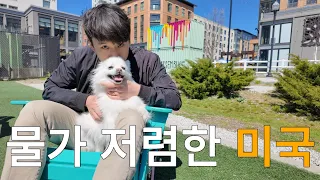 A New Town in Boston, the U.S., that I want to live with my dog Forever (ENG SUB)