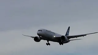 Air New Zealand 787-9 Arrival (ZK-NZK)