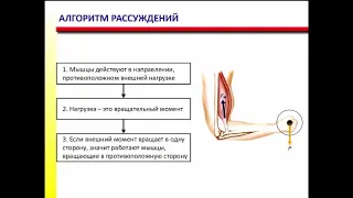 Учимся решать задачи по биомеханике, простой способ определить направление момента силы. #FPA