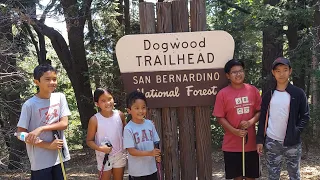 Dogwood  Family Campground - Lake Arrowhead Ca. Camping, time with friends, smores, hiking and fun.