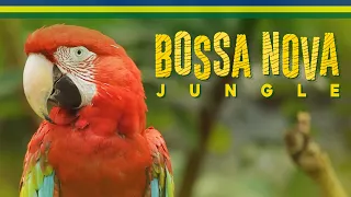 Bossa Nova Jungle - Cutest Animals