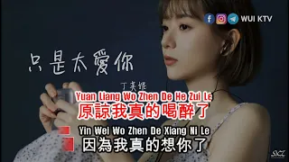 Ding Fu Ni 丁芙妮 - Zhi Shi Tai Ai Ni 只是太爱你 KTV [KARAOKE] [NO VOCAL] [PINYIN]