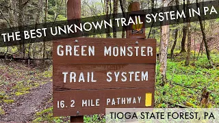 Green Monster Loop Trail System – The Best Unknown Trail System in PA – Tioga State Forest