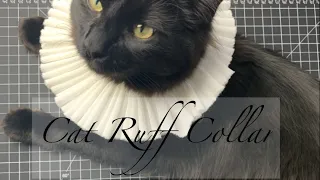 Making an Elizabethan Ruff Collar for my Cat (Tutorial)