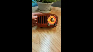PRUNUS J-919 Portable Radios Small, Wood FM Radio Retro Bluetooth Speaker