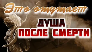 Явления Ангелов и бесов в час смерти -  Серафим Роуз