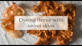 How to dye wool fleece with onion skins
