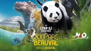 Zoo Parc de Beauval - 2022