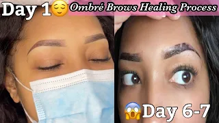 Ombre Brows: Healing Process