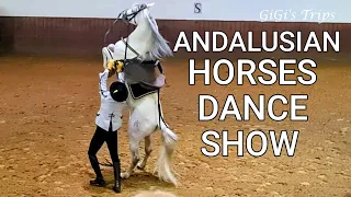 Jerez de la Frontera - Andalusian Horses Dance Show - The Royal Andalusian School of Equestrian Art