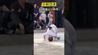 Shaolin kungfu #少林功夫   #少林寺  #chinatourism  #中国旅游 #shorts