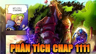 【Phân Tích Chap 1111】Haki Bá Vương Của Ngũ Lão Tinh! Kaido CHƯA THỨC TỈNH TAQ!