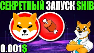 Секретная Информация Запуска Shibarium - Ралли Shiba Inu До 0.01$ Уже В Августе