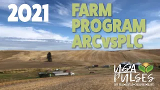 Pulse on Pulses - 2021 Farm Program ARCvsPLC