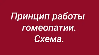 Принцип работы гомеопатии // На чём основан принцип действия гомеопатии? // Подробная информация.