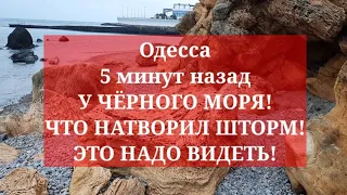 Одесса 5 минут назад. У ЧЁРНОГО МОРЯ! ЧТО НАТВОРИЛ ШТОРМ! ЭТО НАДО ВИДЕТЬ!