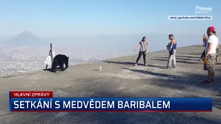 Setkání s medvědem baribalem