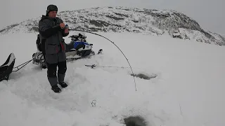 НЕ СОВСЕМ ОБЫЧНАЯ ЗИМНЯЯ РЫБАЛКА В БАРЕНЦЕВОМ МОРЕ / NOT QUITE THE USUAL WINTER FISHING IN THE SEA