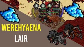 Werehyenas | PROFIT, PROFIT, PROFIT | Tibia EK 250+