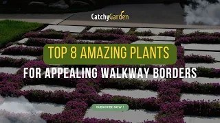 Top 8 Amazing Plants for Appealing Walkway Borders 🍀🌷