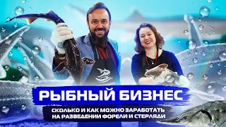 Сколько и как зарабатывать на разведении форели и стерляди. Рыбный бизнес Биосфера-Фиш. Рыбоводство