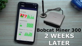 Bobcat Miner 300 ($HNT) - Results After 2 Weeks | Helium Hotspot Miner