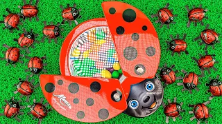 Satisfying ASMR | Rainbow Slime Spider & Color Soccer Balls with LadyBug Full of Skittles Candy
