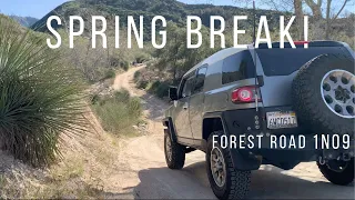 Exploring Forest Road 1N09 in the San Bernardino National Forest