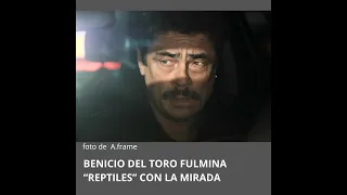 REPTILES. LA PELÍCULA CON BENICIO DEL TORO QUE TE ENREDA HASTA EL FINAL