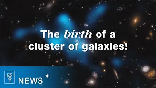 Witnessing the Birth of a Distant Cluster of Galaxies (ESOcast Light 259)