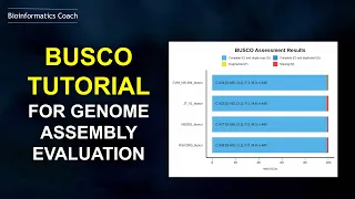 BUSCO  Linux Install and Usage - Genome Assembly Evaluation | BUSCO genes