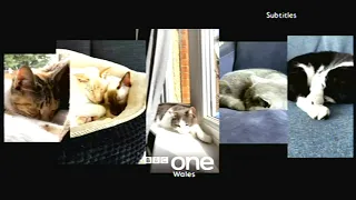 BBC One Wales - Cat Nap Ident - Monday 16th November 2020