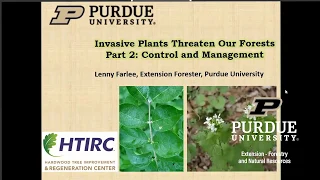 Invasive Plants Threaten Our Forests Part 2: Control and Management