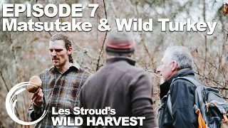 Survivorman | Les Stroud's Wild Harvest | Season 1 | Episode 7 | Matsutake & Wild Turkey