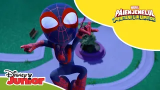 🦸 Super momentele lui Miles | Păienjenelul Marvel și prietenii lui uimitori | Disney Junior România